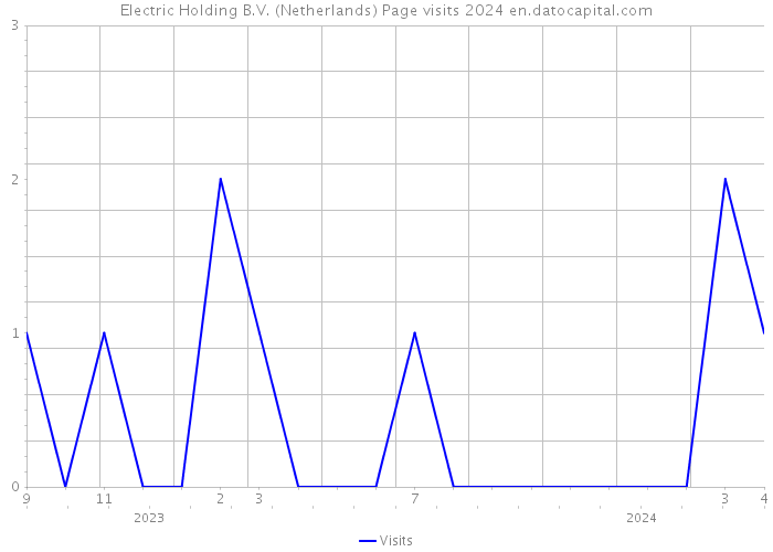 Electric Holding B.V. (Netherlands) Page visits 2024 