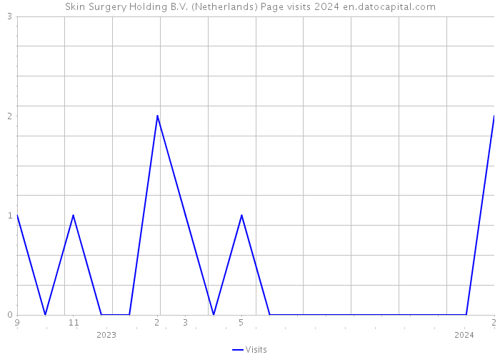 Skin Surgery Holding B.V. (Netherlands) Page visits 2024 