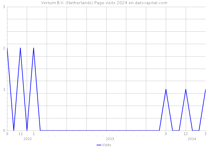 Vertum B.V. (Netherlands) Page visits 2024 