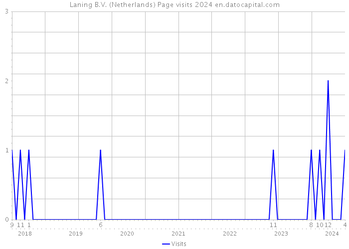 Laning B.V. (Netherlands) Page visits 2024 