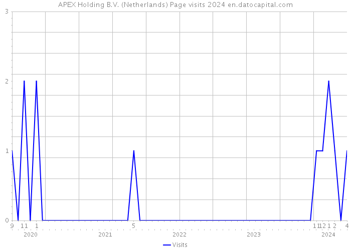 APEX Holding B.V. (Netherlands) Page visits 2024 