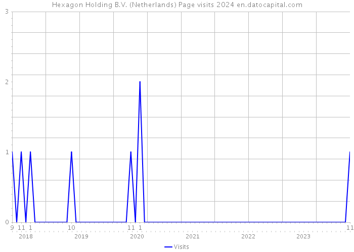 Hexagon Holding B.V. (Netherlands) Page visits 2024 