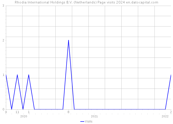 Rhodia International Holdings B.V. (Netherlands) Page visits 2024 