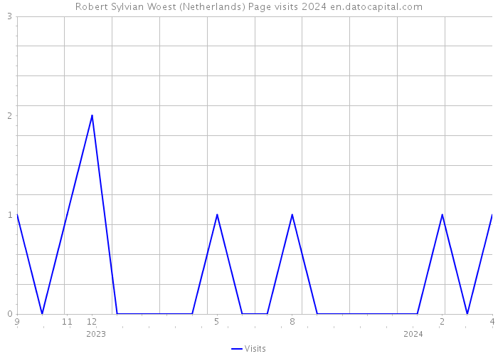 Robert Sylvian Woest (Netherlands) Page visits 2024 