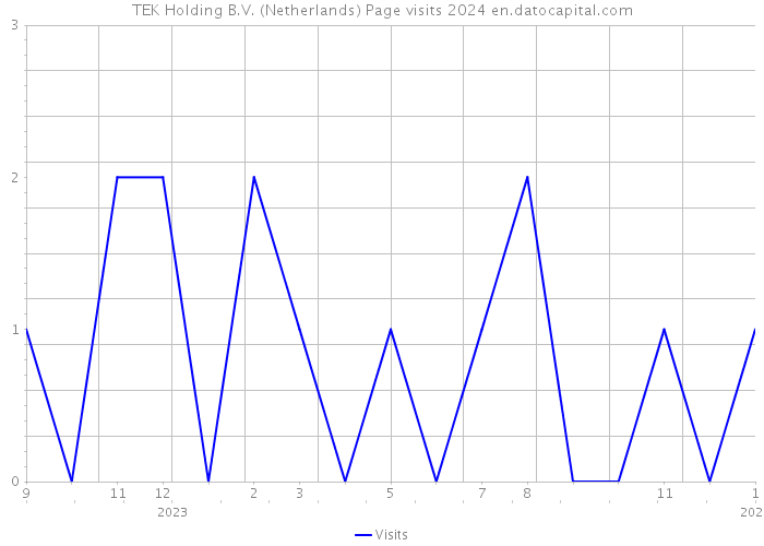 TEK Holding B.V. (Netherlands) Page visits 2024 