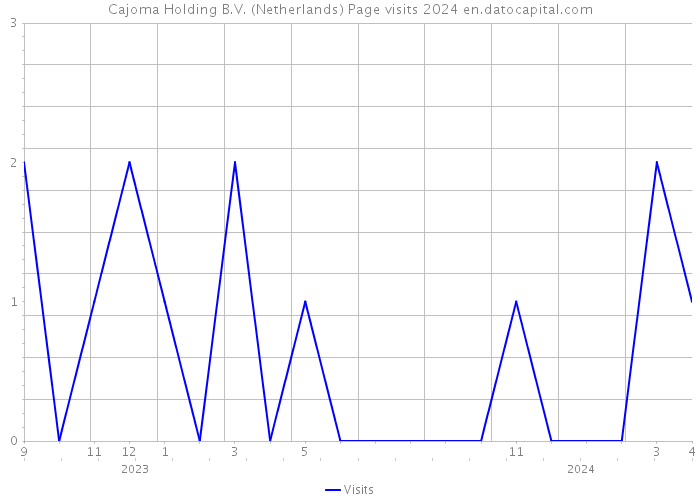 Cajoma Holding B.V. (Netherlands) Page visits 2024 