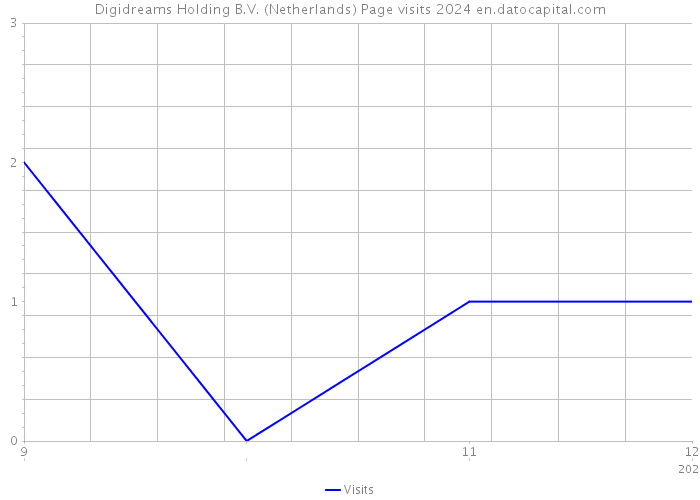 Digidreams Holding B.V. (Netherlands) Page visits 2024 