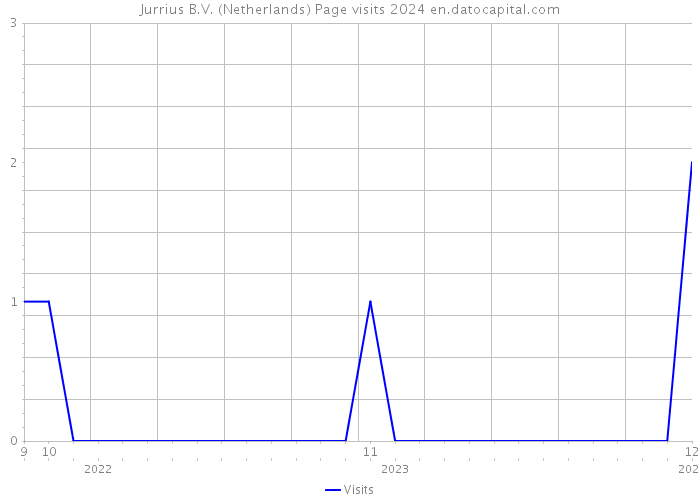 Jurrius B.V. (Netherlands) Page visits 2024 
