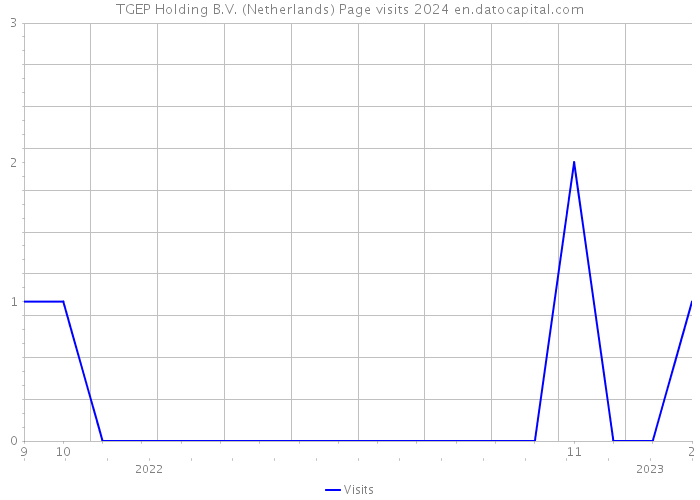 TGEP Holding B.V. (Netherlands) Page visits 2024 