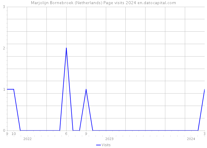 Marjolijn Bornebroek (Netherlands) Page visits 2024 