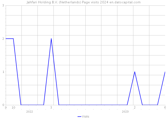 Jahfari Holding B.V. (Netherlands) Page visits 2024 