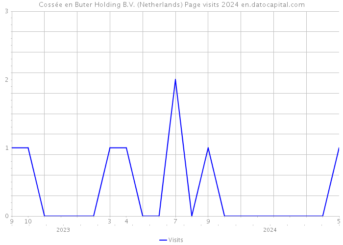 Cossée en Buter Holding B.V. (Netherlands) Page visits 2024 