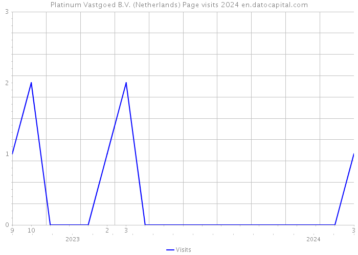 Platinum Vastgoed B.V. (Netherlands) Page visits 2024 