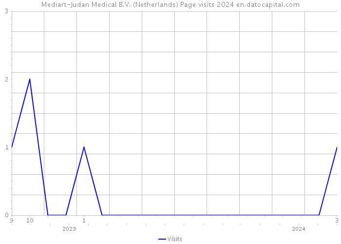 Mediart-Judan Medical B.V. (Netherlands) Page visits 2024 