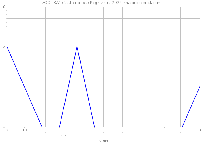 VOOL B.V. (Netherlands) Page visits 2024 