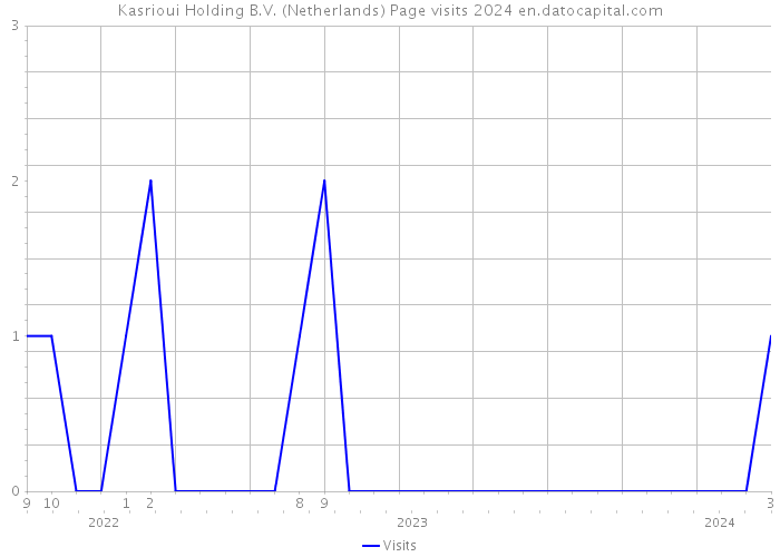 Kasrioui Holding B.V. (Netherlands) Page visits 2024 