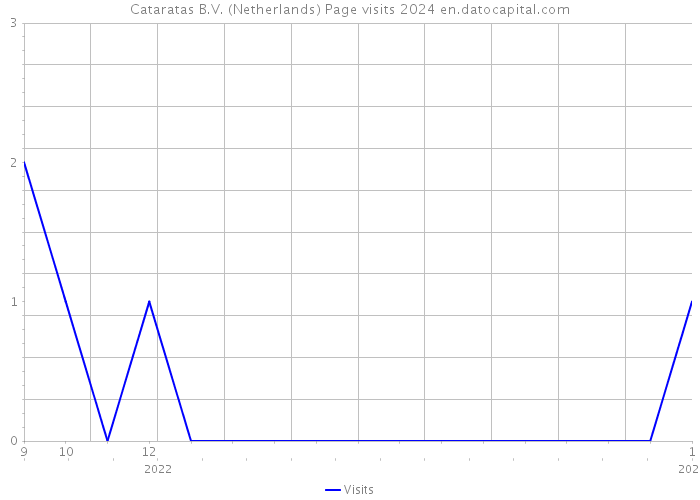 Cataratas B.V. (Netherlands) Page visits 2024 