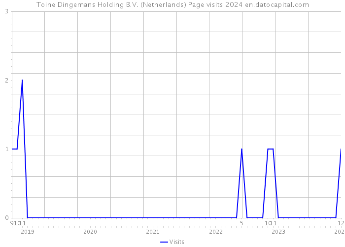 Toine Dingemans Holding B.V. (Netherlands) Page visits 2024 