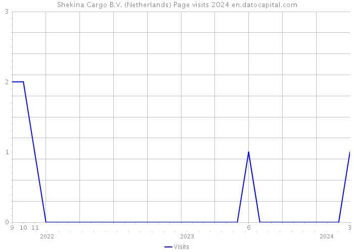 Shekina Cargo B.V. (Netherlands) Page visits 2024 