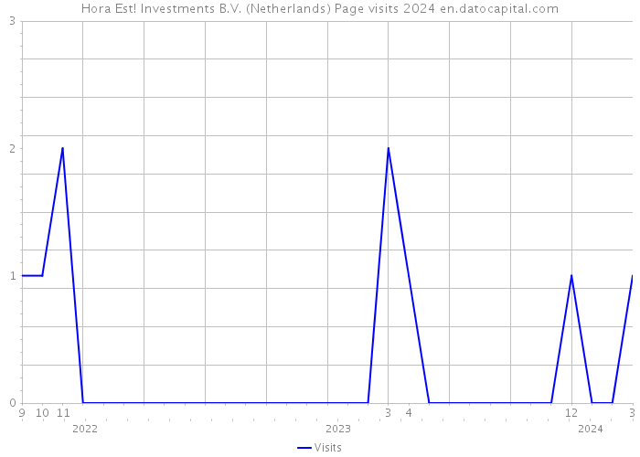 Hora Est! Investments B.V. (Netherlands) Page visits 2024 