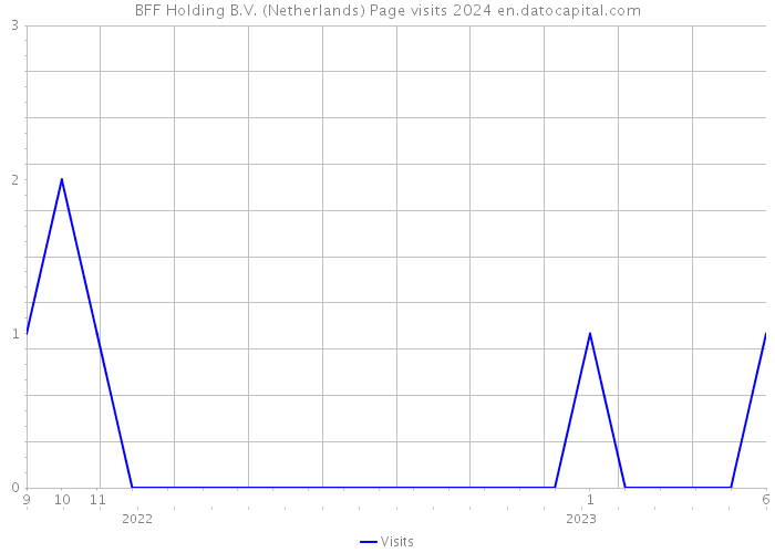 BFF Holding B.V. (Netherlands) Page visits 2024 