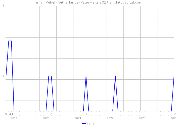 Timan Rebel (Netherlands) Page visits 2024 