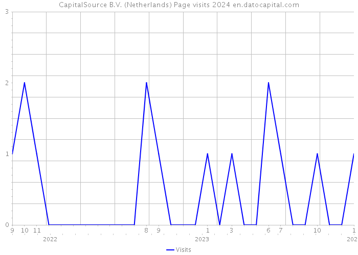 CapitalSource B.V. (Netherlands) Page visits 2024 