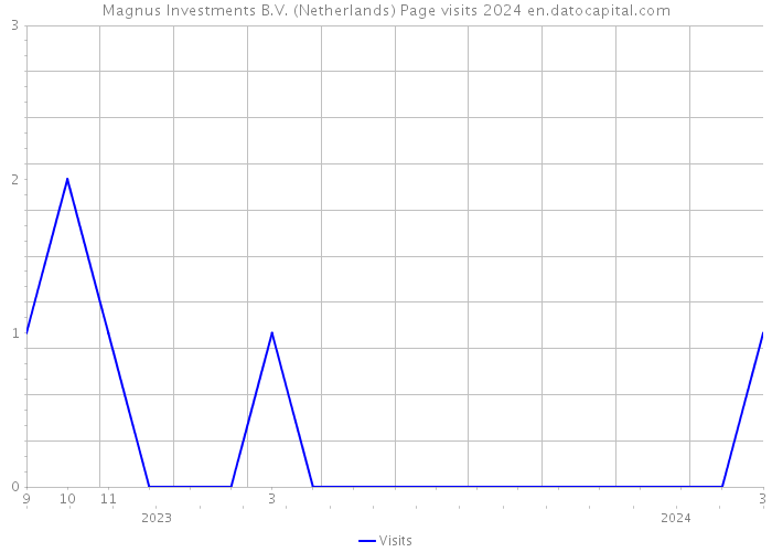 Magnus Investments B.V. (Netherlands) Page visits 2024 