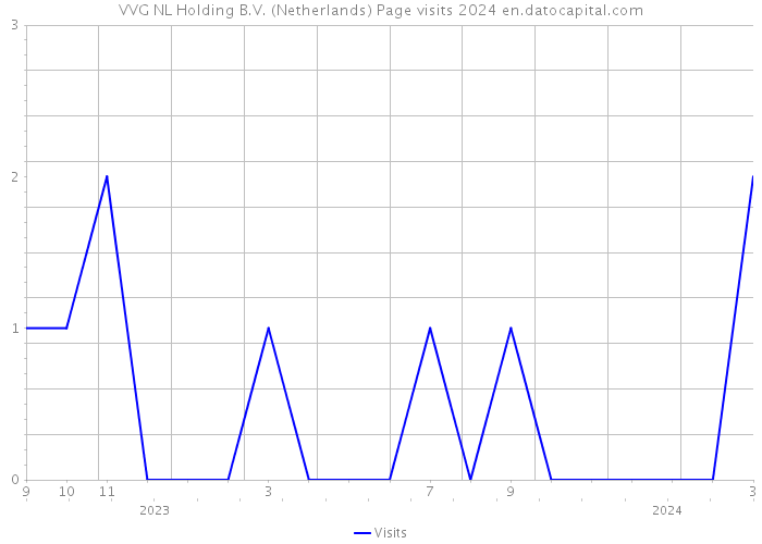 VVG NL Holding B.V. (Netherlands) Page visits 2024 