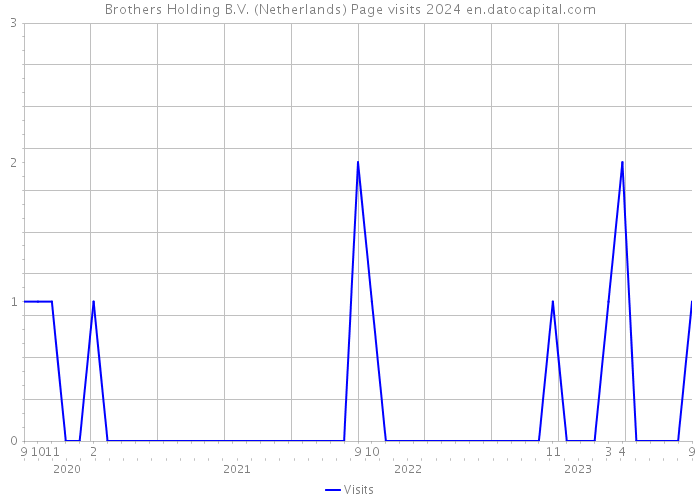 Brothers Holding B.V. (Netherlands) Page visits 2024 