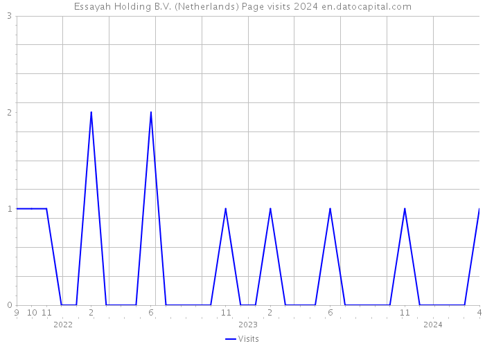 Essayah Holding B.V. (Netherlands) Page visits 2024 