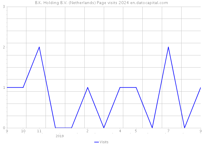 B.K. Holding B.V. (Netherlands) Page visits 2024 