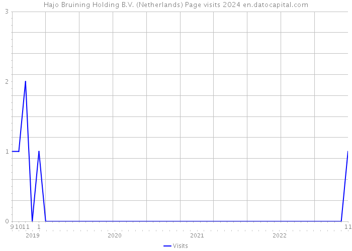 Hajo Bruining Holding B.V. (Netherlands) Page visits 2024 