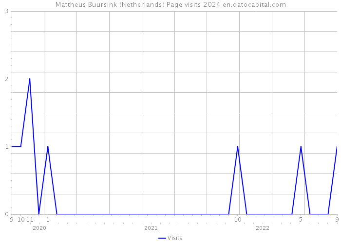 Mattheus Buursink (Netherlands) Page visits 2024 