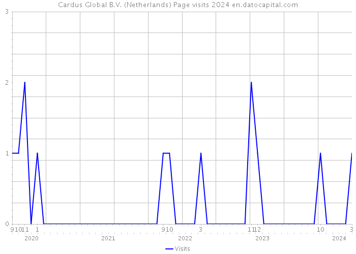 Cardus Global B.V. (Netherlands) Page visits 2024 