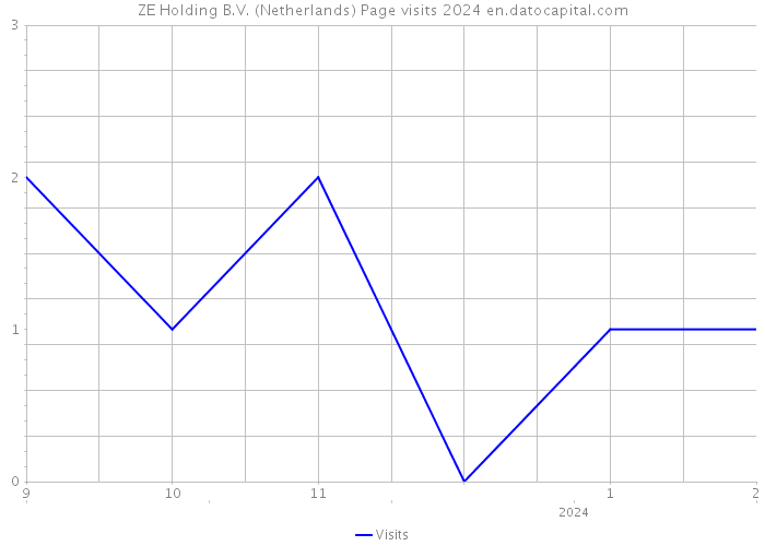 ZE Holding B.V. (Netherlands) Page visits 2024 
