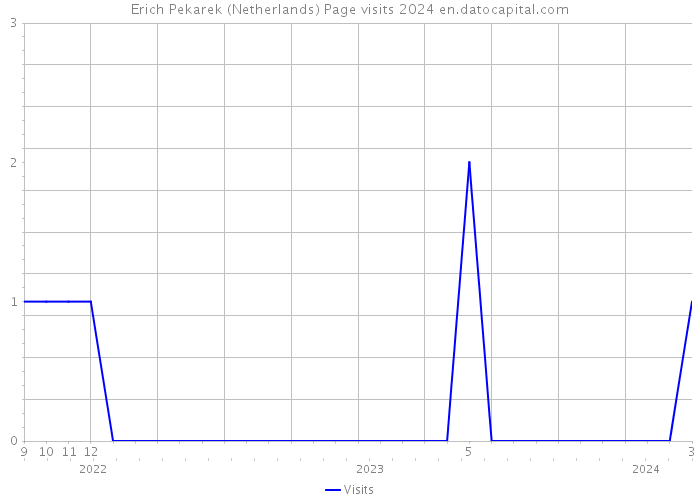 Erich Pekarek (Netherlands) Page visits 2024 