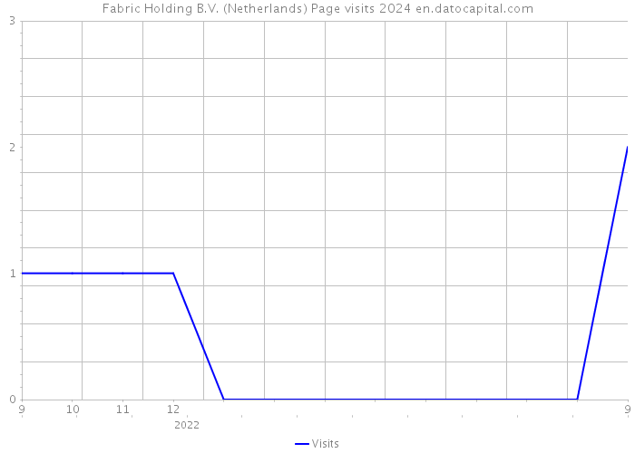 Fabric Holding B.V. (Netherlands) Page visits 2024 