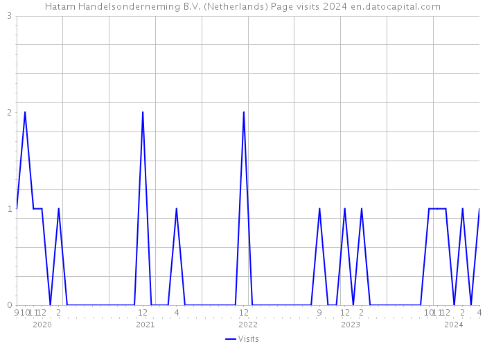 Hatam Handelsonderneming B.V. (Netherlands) Page visits 2024 