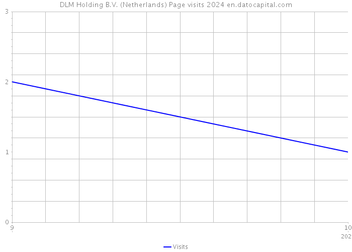 DLM Holding B.V. (Netherlands) Page visits 2024 