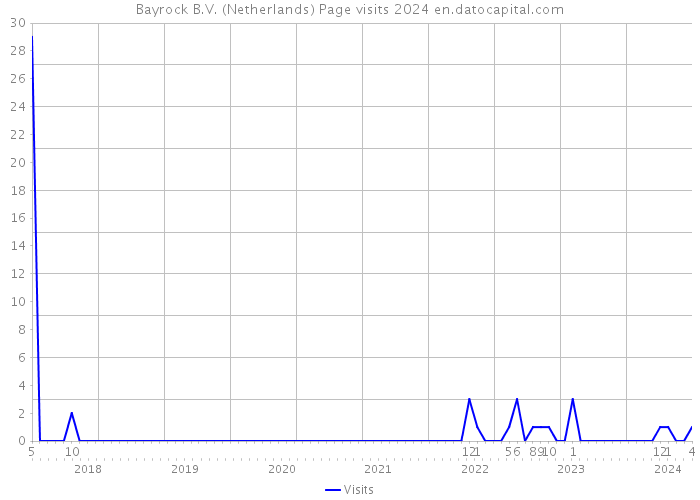 Bayrock B.V. (Netherlands) Page visits 2024 
