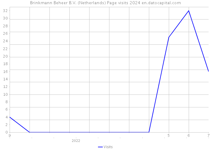 Brinkmann Beheer B.V. (Netherlands) Page visits 2024 