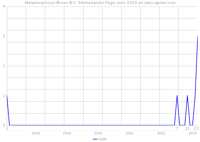 Metamorphose-Brows B.V. (Netherlands) Page visits 2024 
