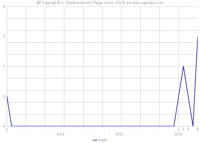 BP Capital B.V. (Netherlands) Page visits 2024 