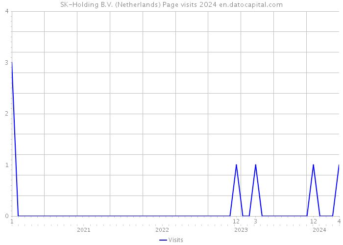 SK-Holding B.V. (Netherlands) Page visits 2024 