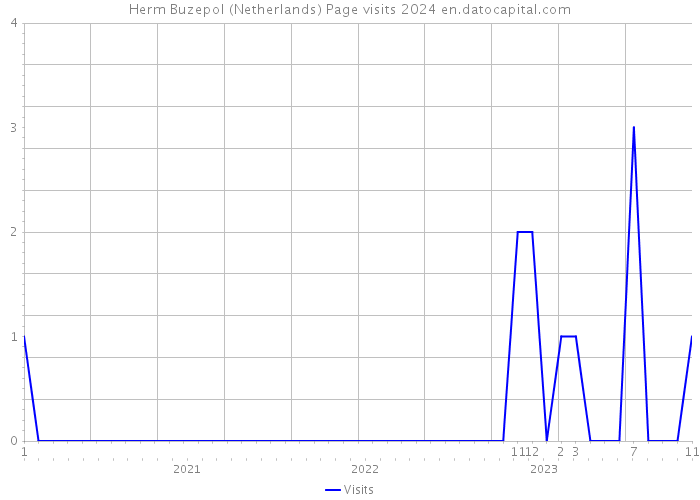 Herm Buzepol (Netherlands) Page visits 2024 