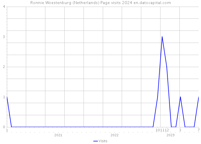 Ronnie Woestenburg (Netherlands) Page visits 2024 