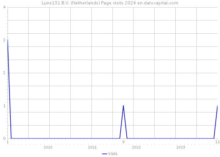 Luns131 B.V. (Netherlands) Page visits 2024 