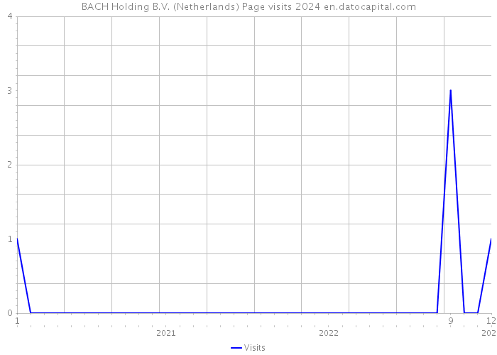 BACH Holding B.V. (Netherlands) Page visits 2024 