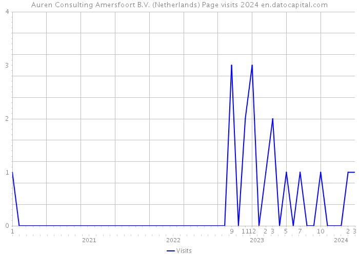 Auren Consulting Amersfoort B.V. (Netherlands) Page visits 2024 